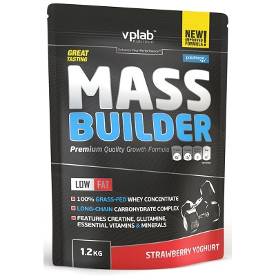  VPLab Mass Builder 1200 