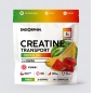  ENDORPHIN Creatine Transport  1400