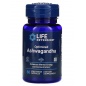 Специальный препарат Life Extension Optimized Ashwagandha 60 капсул