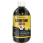 Л-карнитин HX Nutrition Premium Carnitine Liquid 500 мл