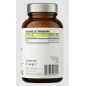  OstroVit Pharma Magnesium Citrate 60 