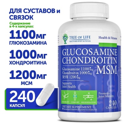 Хондропротектор LIFE Glucosamine + Chondroitin + MSM 240 капсул